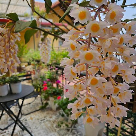 Dang Khoa Garden Inn Homestay Sa Pa Kültér fotó