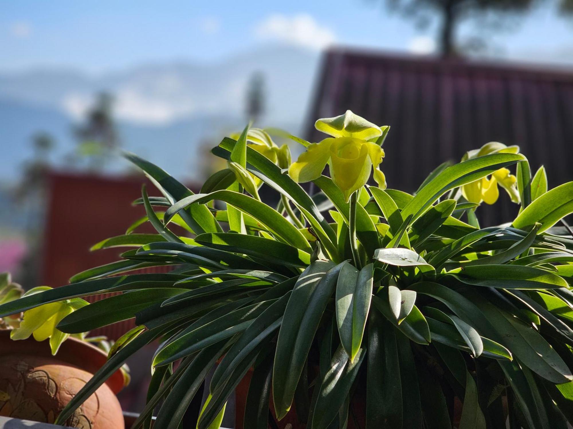 Dang Khoa Garden Inn Homestay Sa Pa Kültér fotó