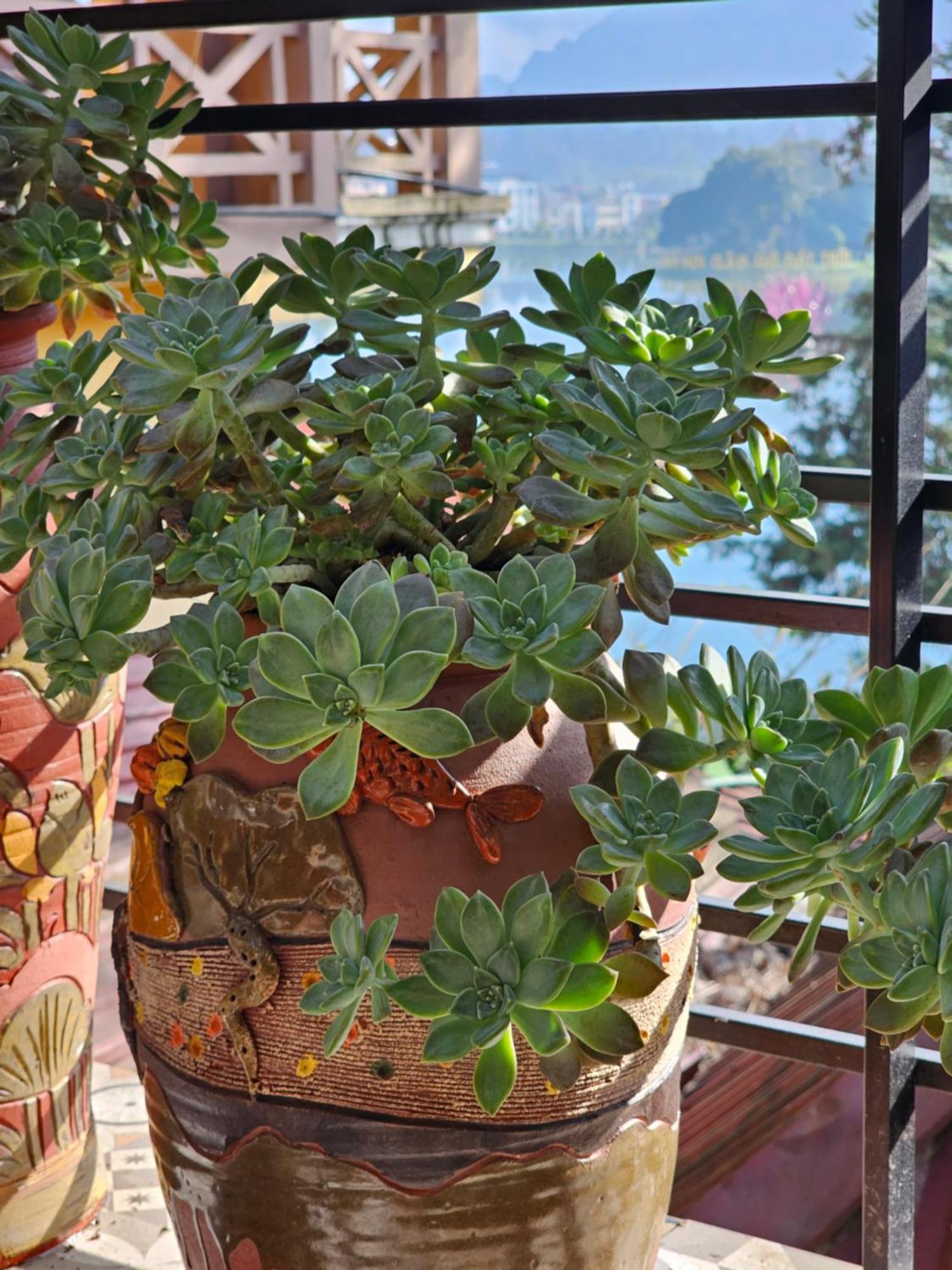 Dang Khoa Garden Inn Homestay Sa Pa Kültér fotó