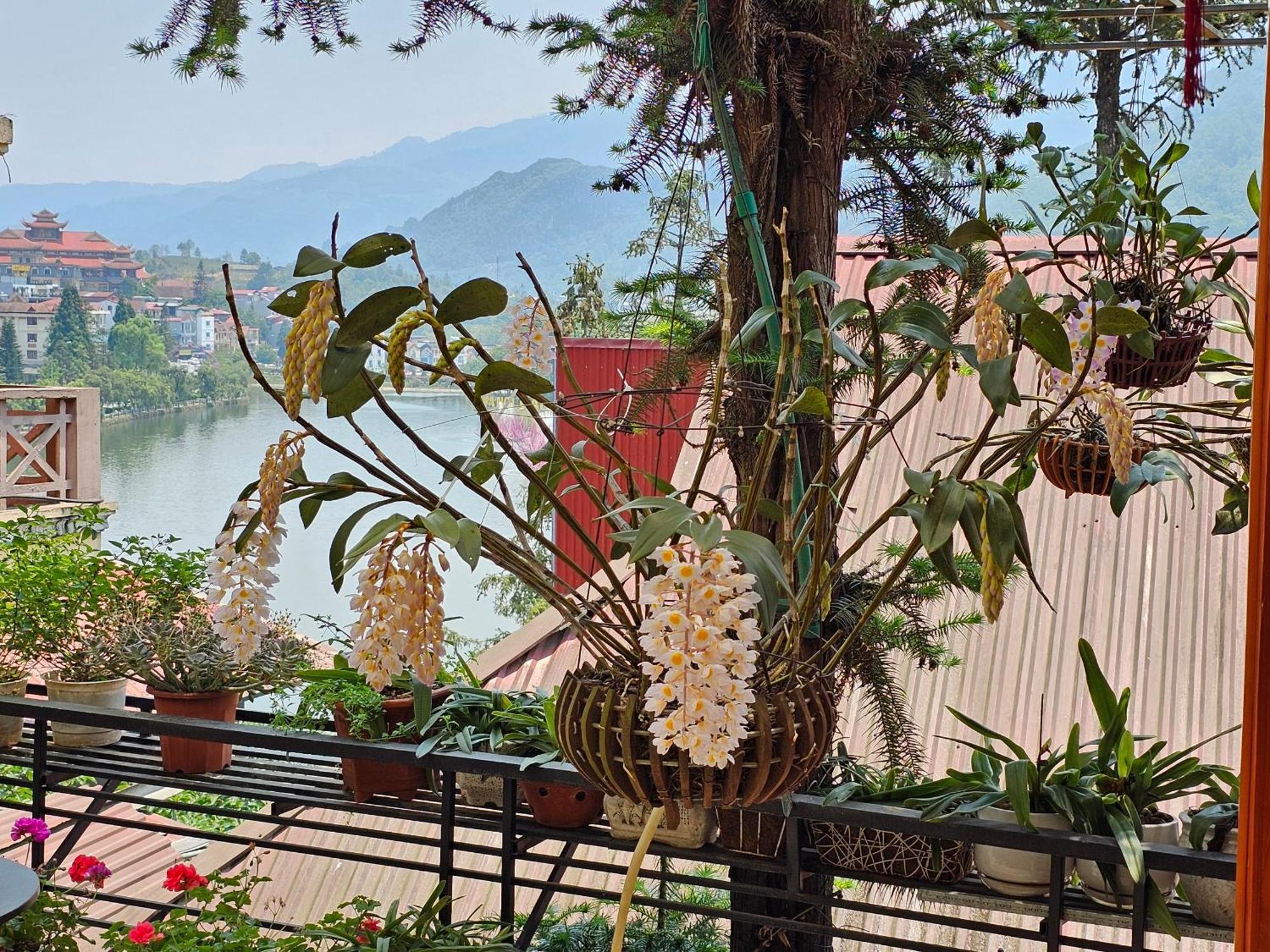 Dang Khoa Garden Inn Homestay Sa Pa Kültér fotó