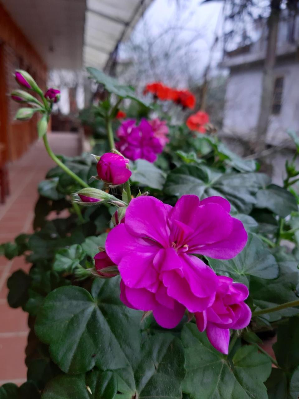 Dang Khoa Garden Inn Homestay Sa Pa Kültér fotó